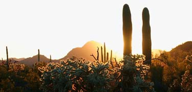 Sunset over the Tucson Mountains -Photo by J Williams